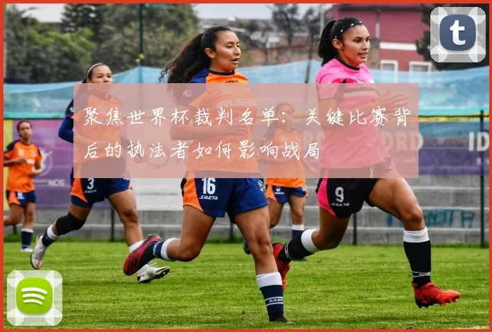 聚焦世界杯裁判名单：关键比赛背后的执法者如何影响战局