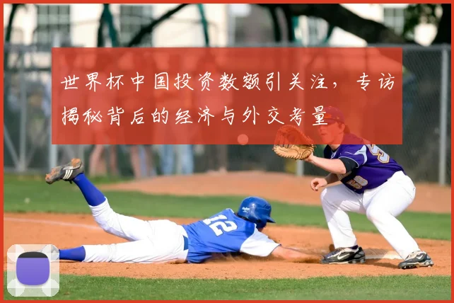 世界杯中国投资数额引关注,专访揭秘背后的经济与外交考量