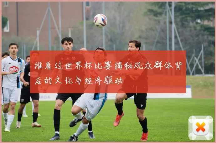 谁看过世界杯比赛揭秘观众群体背后的文化与经济驱动