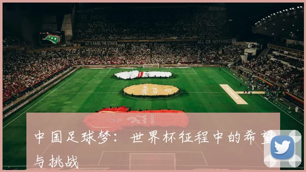 中国足球梦：世界杯征程中的希望与挑战
