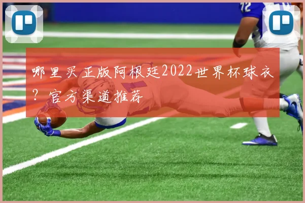 哪里买正版阿根廷2022世界杯球衣？官方渠道推荐