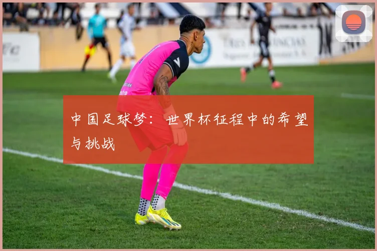 中国足球梦：世界杯征程中的希望与挑战