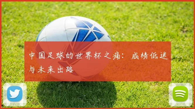 中国足球的世界杯之痛:成绩低迷与未来出路