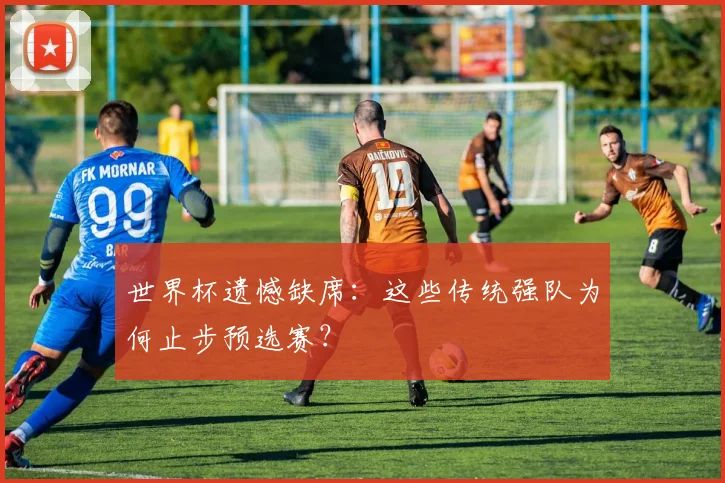 世界杯遗憾缺席：这些传统强队为何止步预选赛？