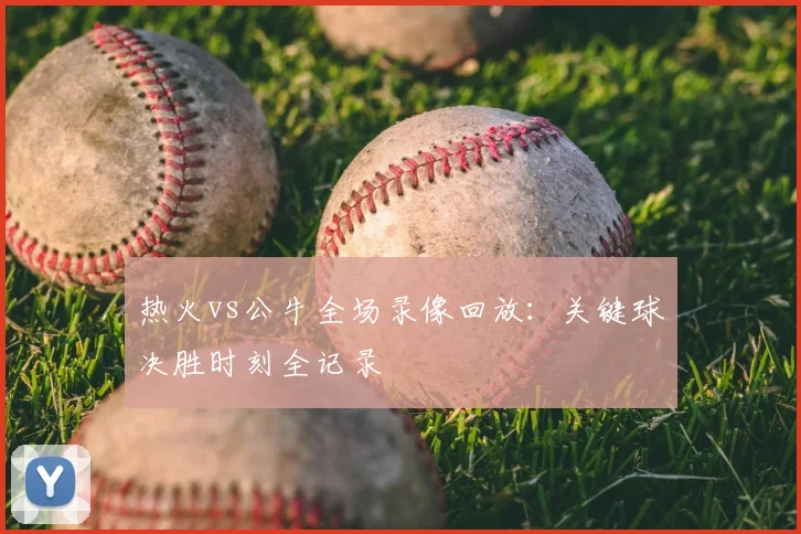 热火vs公牛全场录像回放：关键球决胜时刻全记录