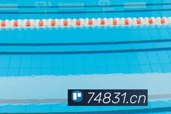 mksports最新比分平台生态图