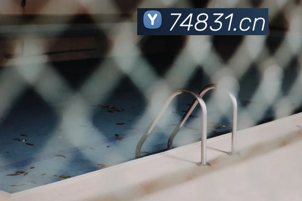 mksports最新比分APP 封面图